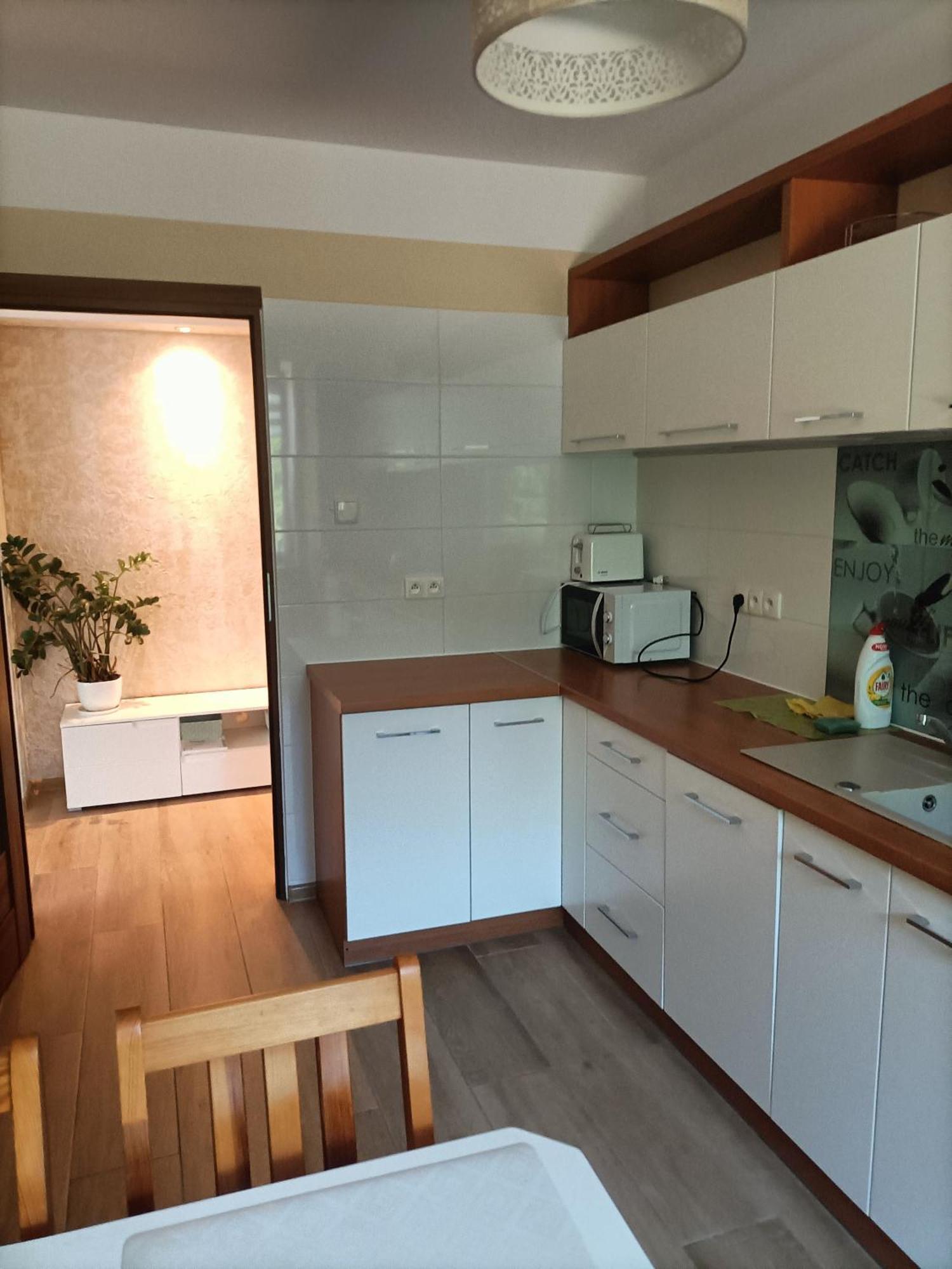 Apartament Blekit Nieba تيكوشين المظهر الخارجي الصورة